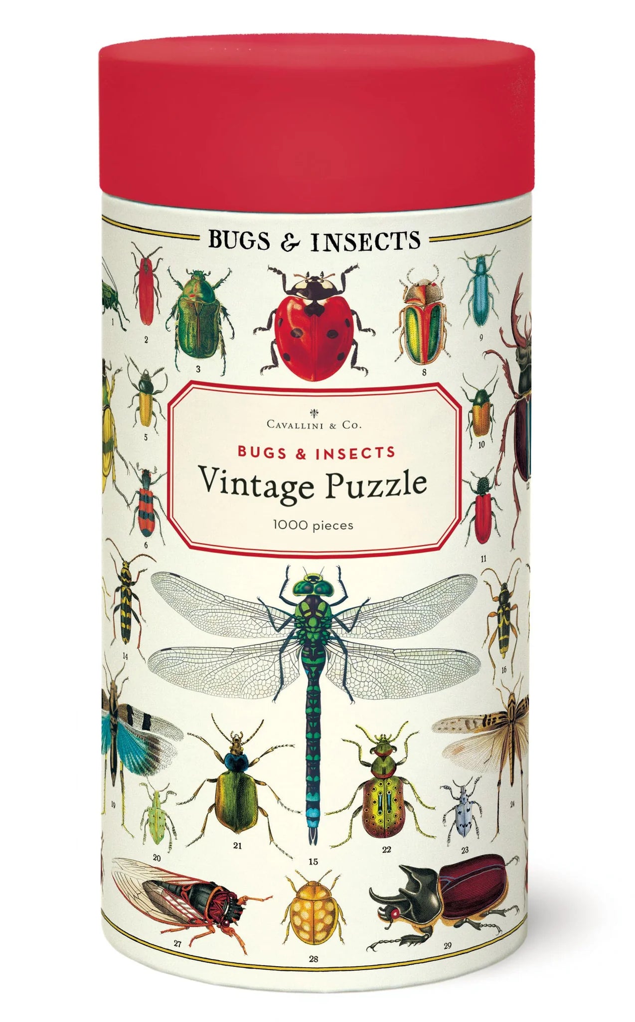 Bugs &amp; Insects Puzzle