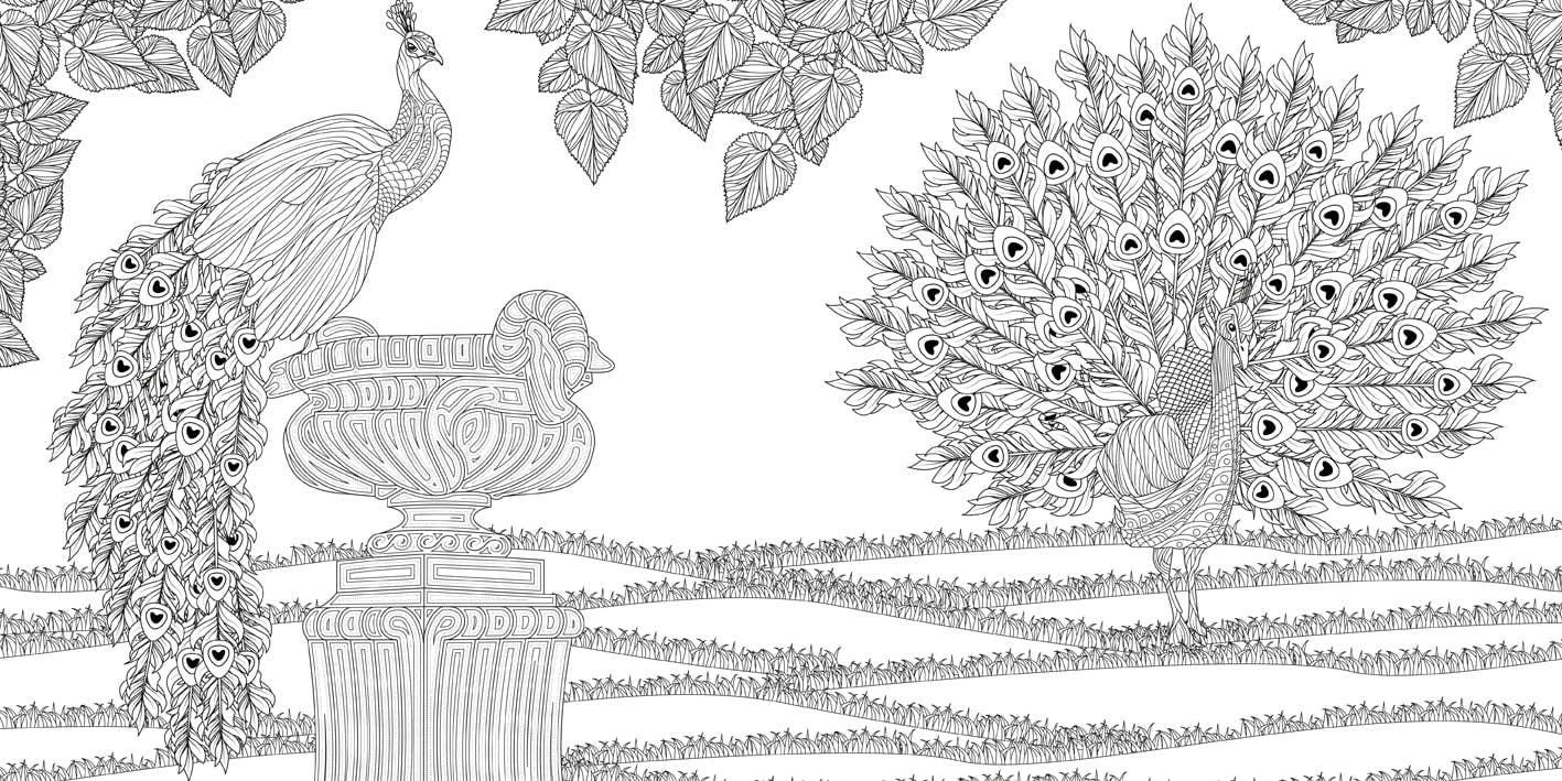Botanical Gardens Coloring Book by Sara Muzio