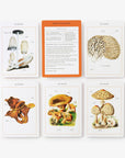 New York Botanical Garden Mushroom Identification Flashcards