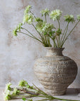 Scabious Flower Stem