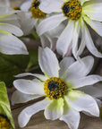 Wild Cosmos Stem