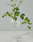 Wine Glass Vase