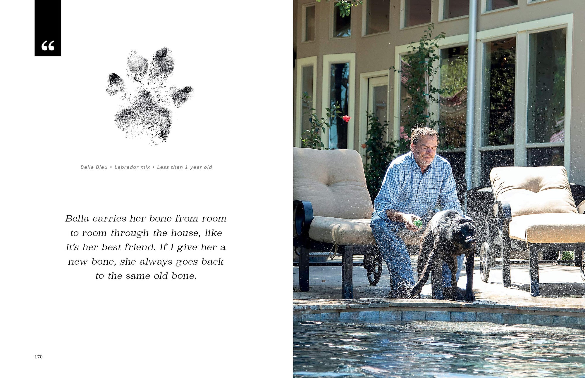 At Home with Dogs: Rescue Love Stories