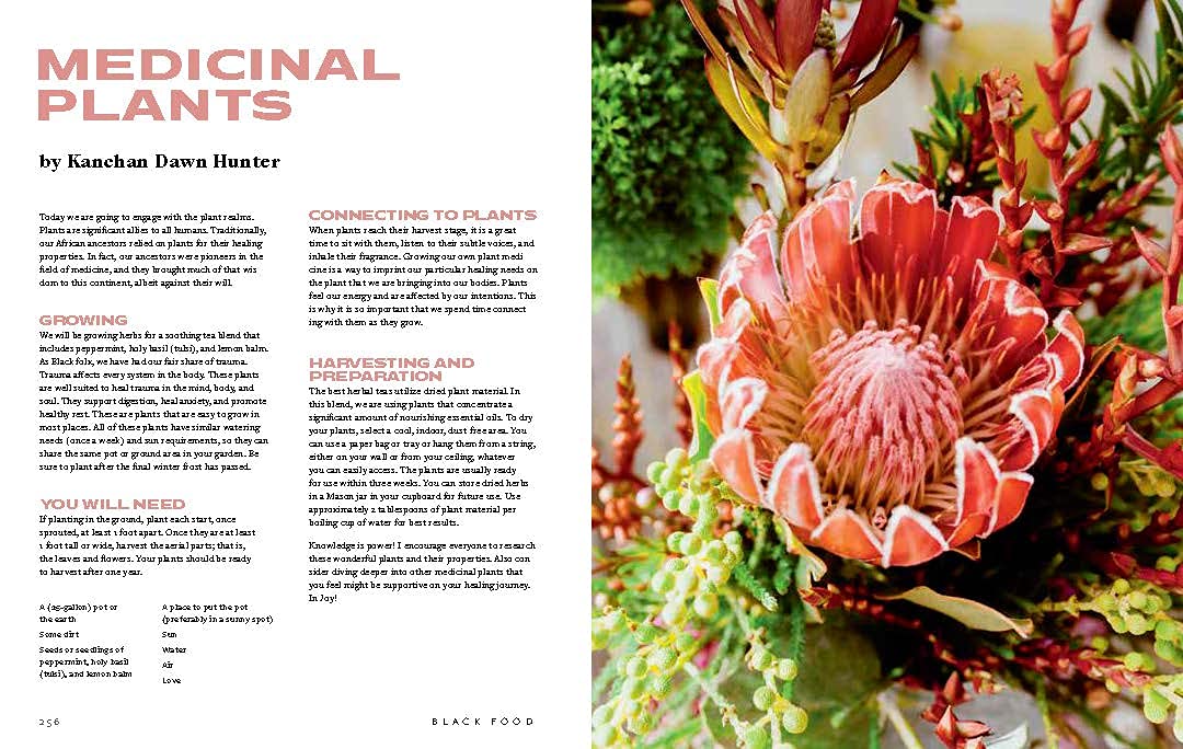 Black Food: Stories, Art & Recipes