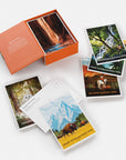 National Parks Postcard Set