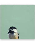 Chickadee on Birch