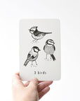 Animal Flash Cards