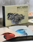 Birds Postcard Set