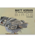 Birds Postcard Set