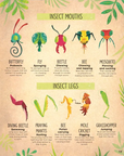 The Book of Brilliant Bugs
