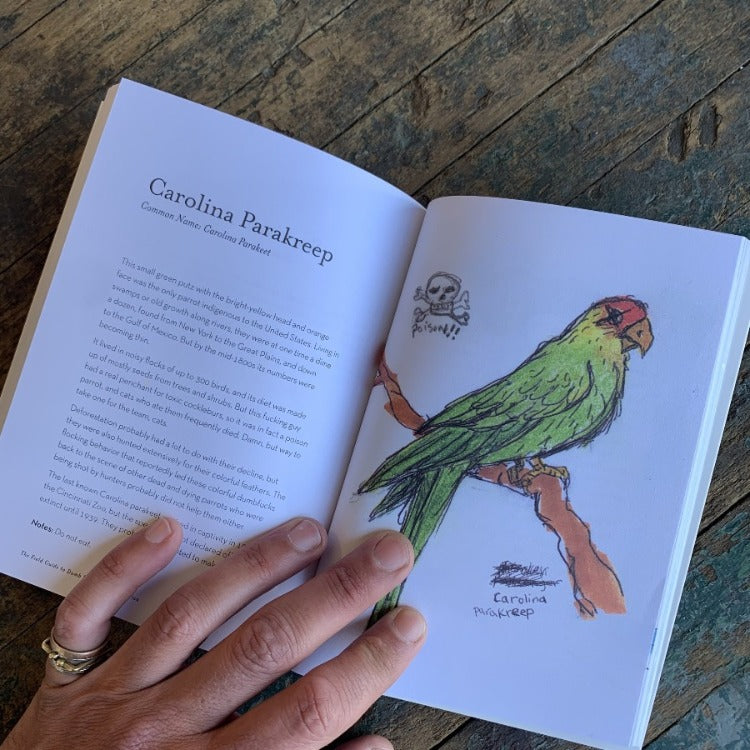 Field Guide to Dumb Birds of North America Red Orchard