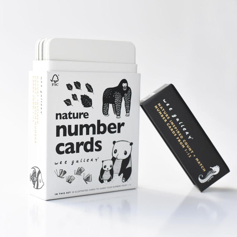 Animal Flash Cards