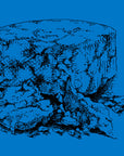 Blue Cheese Wine Chips