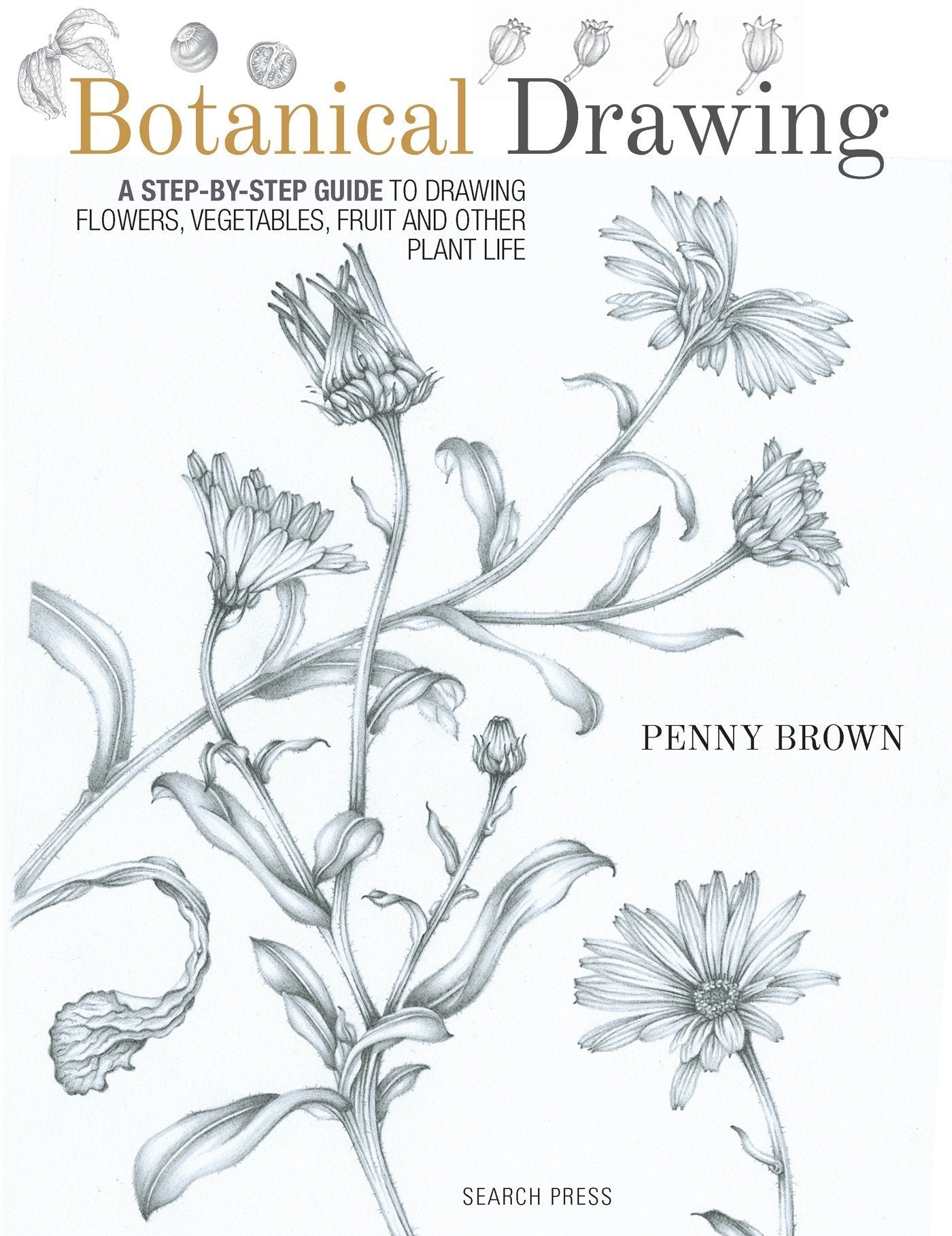 Botanical Drawing: A Step by Step Guide