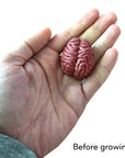 Humongous Absorbent Polymer Brain