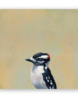 Downy Woodpecker on Birch
