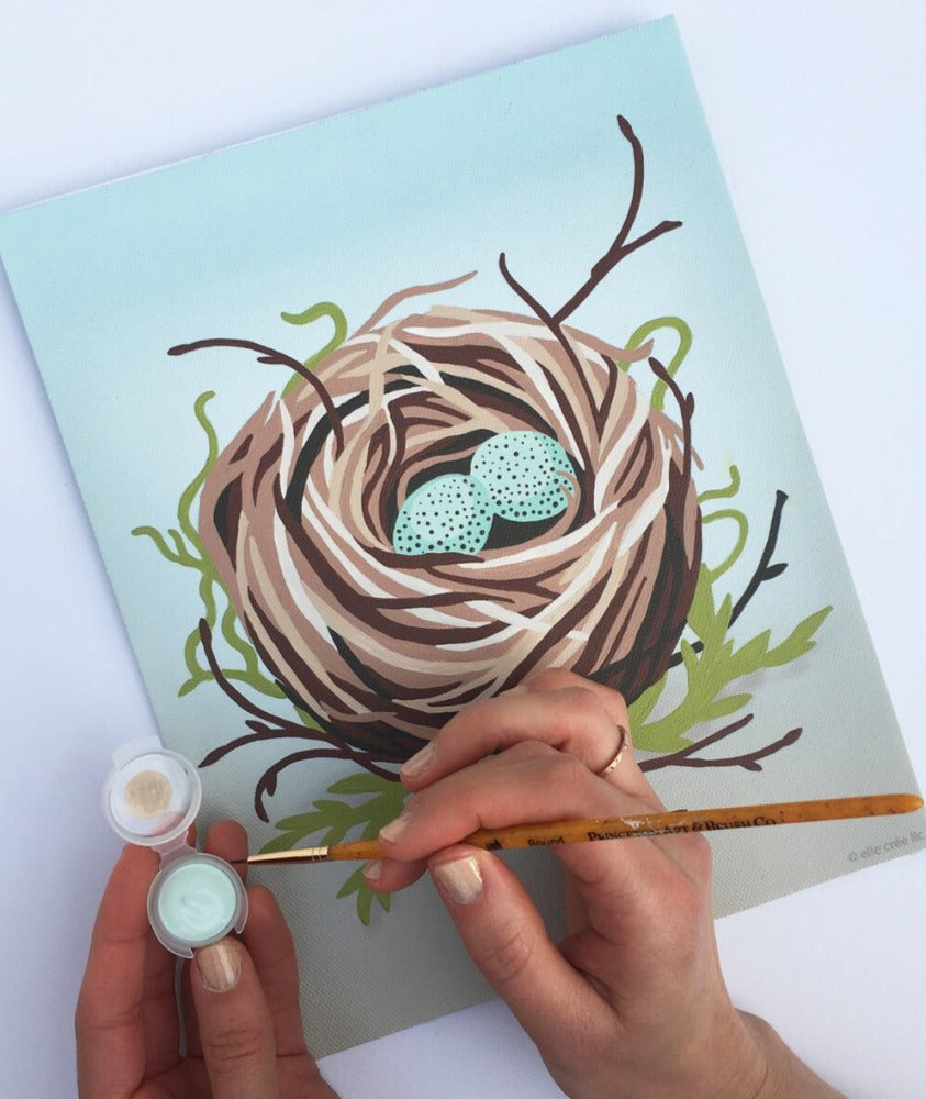 Bird's Nest Paint-by-Number