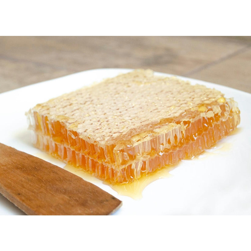 Honeycomb Square 14oz.
