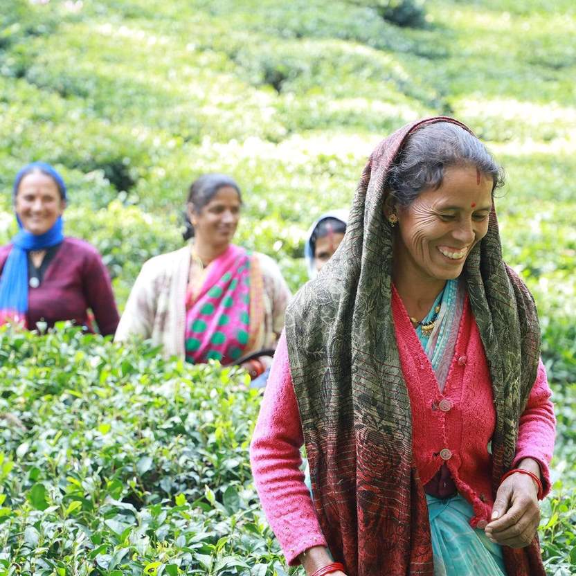Organic Kumaon Black Loose Leaf Tea