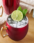 Moscow Mule Mug