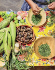 The Food of Oaxaca