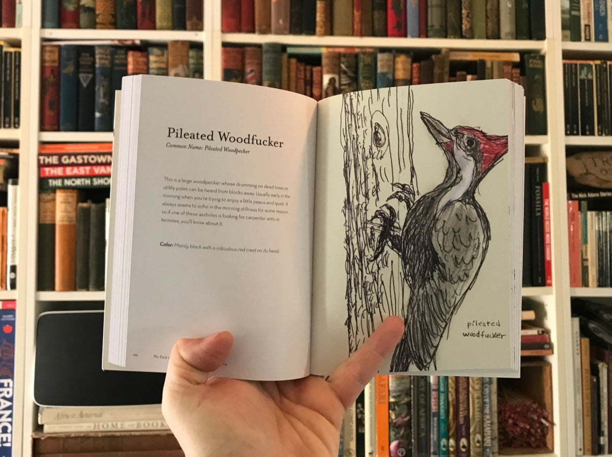 Field Guide to Dumb Birds of North America Red Orchard