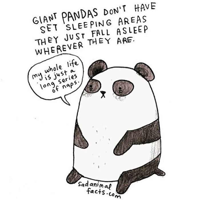 Sad Animal Facts – Red Orchard