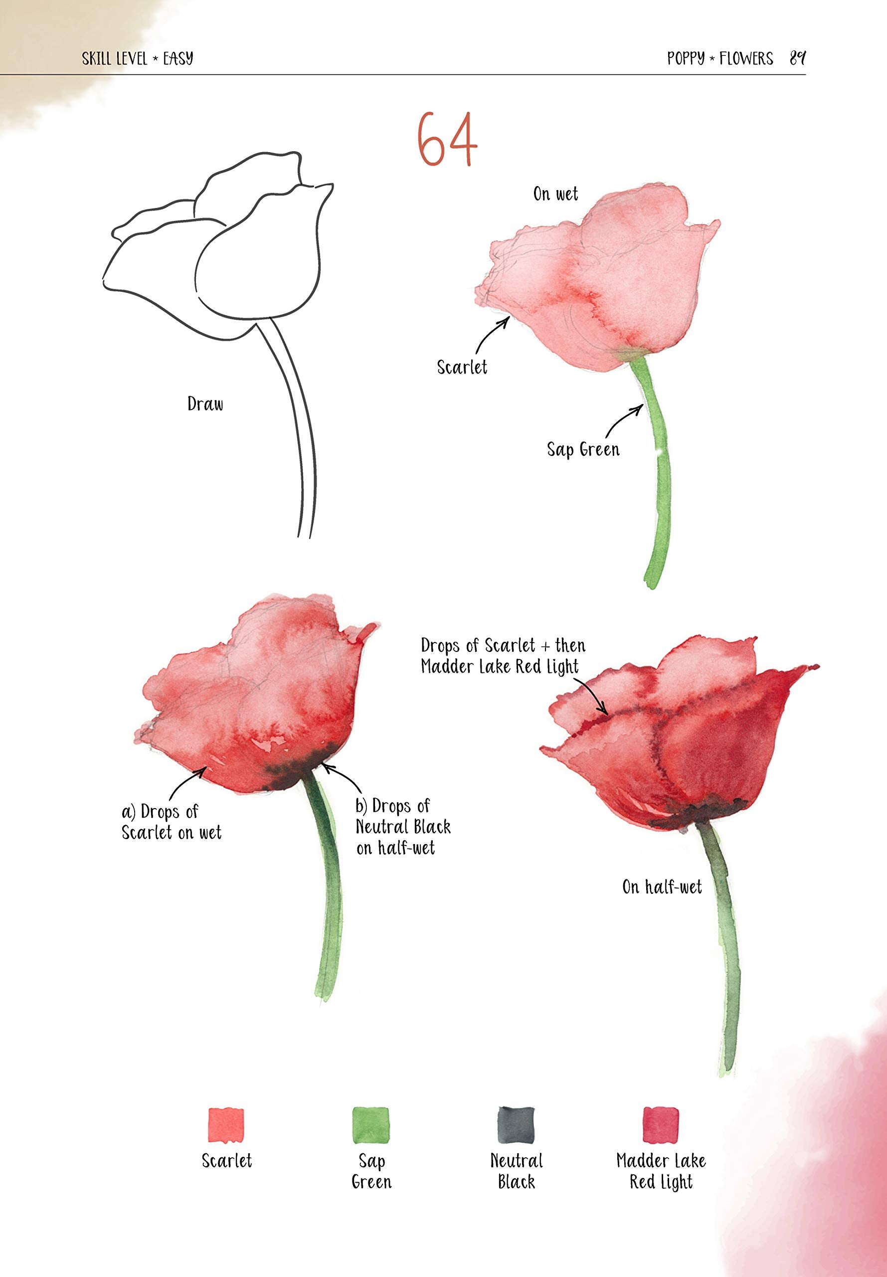 Watercolor Success in 4 Steps