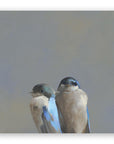 Swallow Pair on Birch