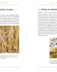 A Field Guide to Whisky