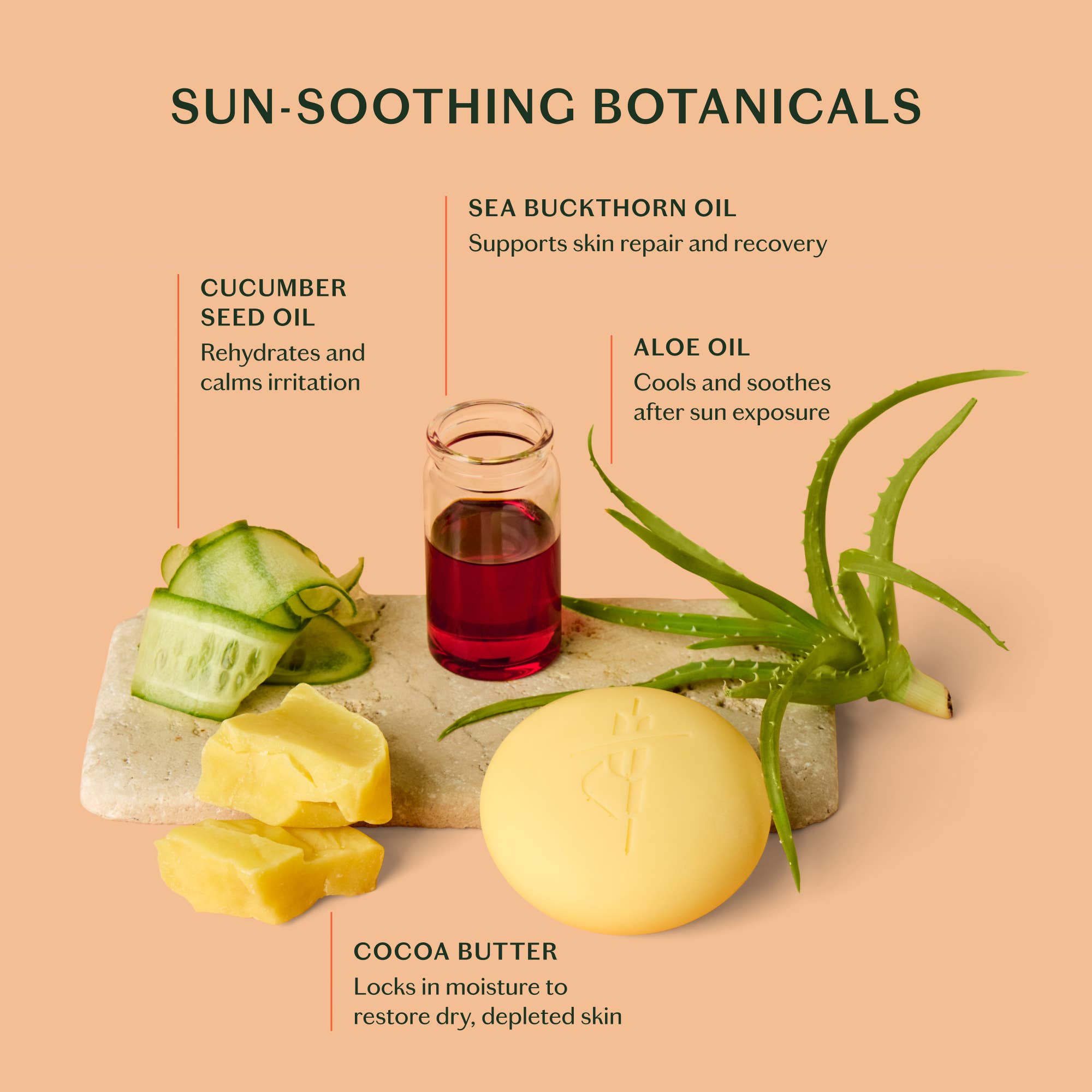 The Sun Stone | After Sun Balm &amp; Lotion Bar