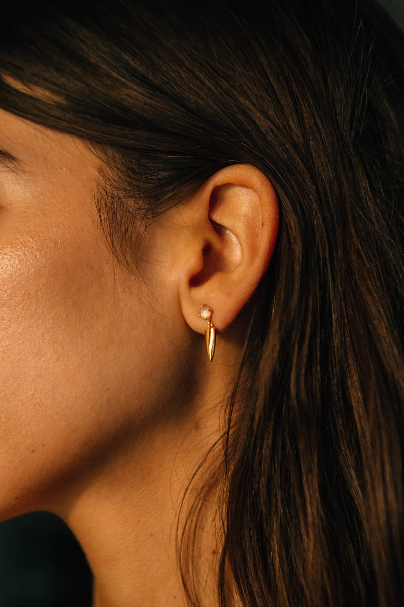 Desperado Earrings