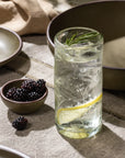 Thistle Etched Highball Glass