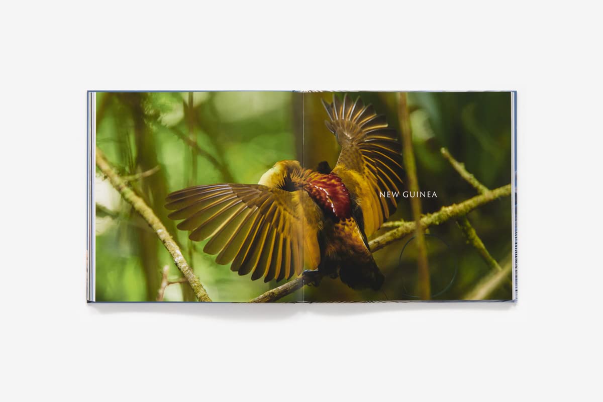 Bird Planet