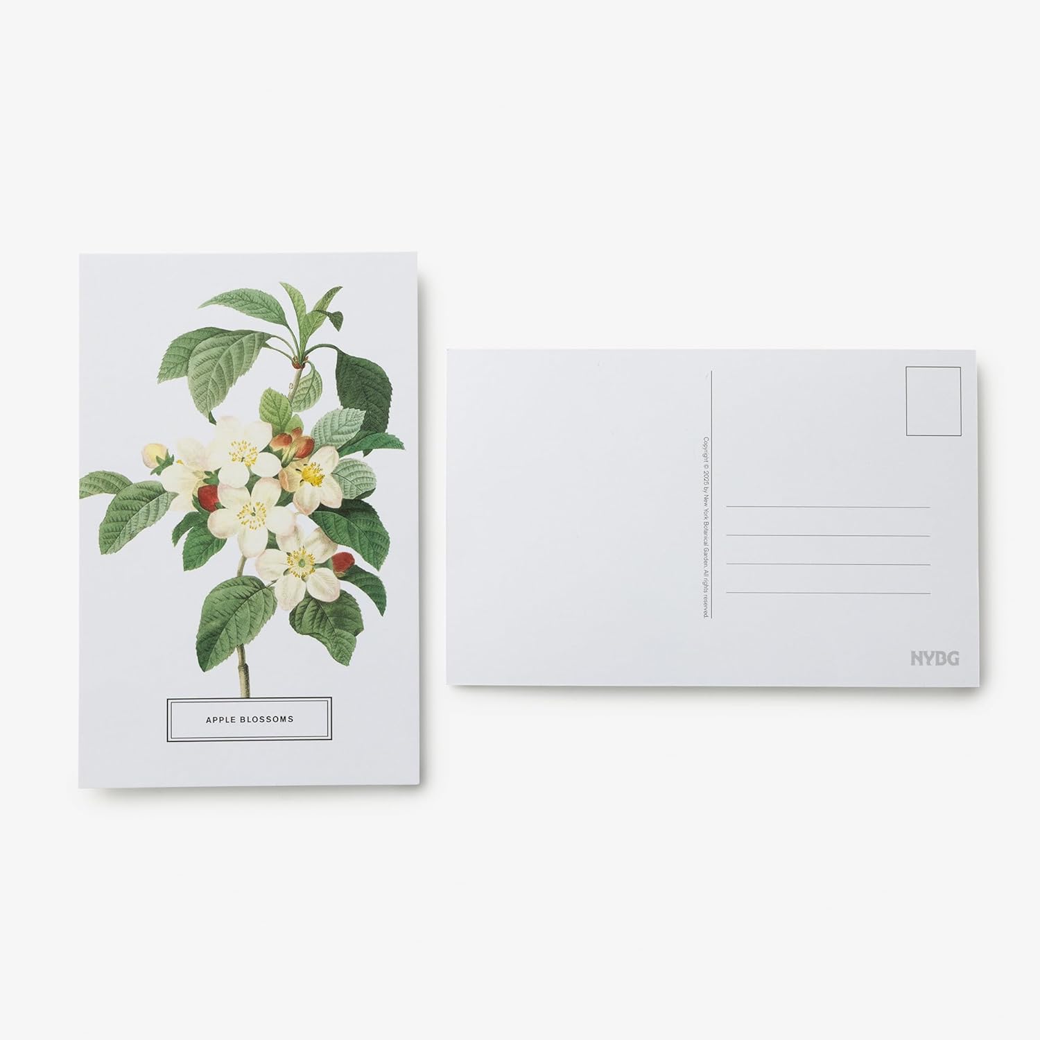 In Full Bloom: 100 Postcards from the Archives of the New York Botanical Garden