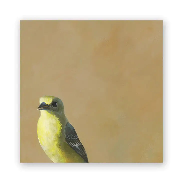 Goldfinch on Birch
