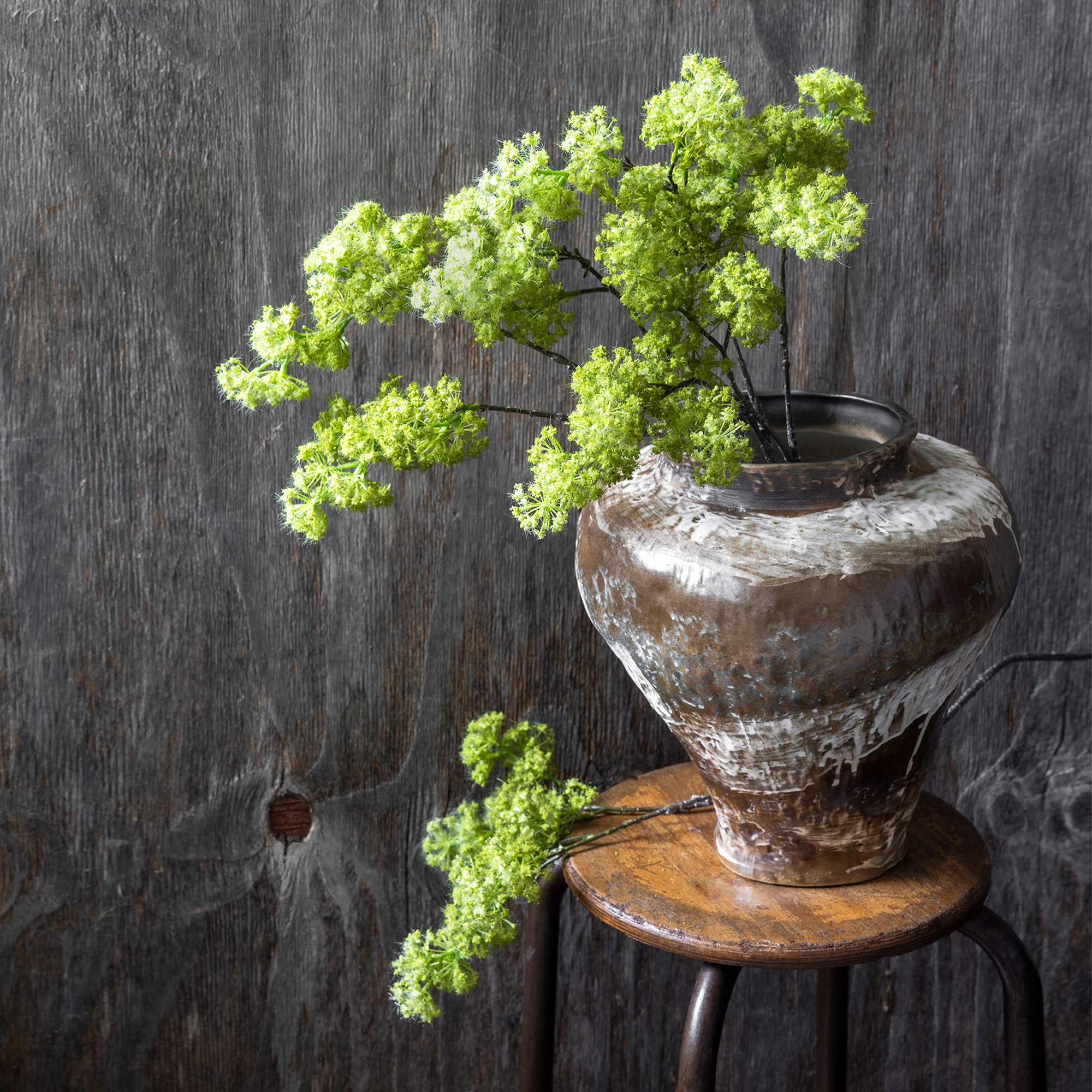 Spring Green Guelder Stem