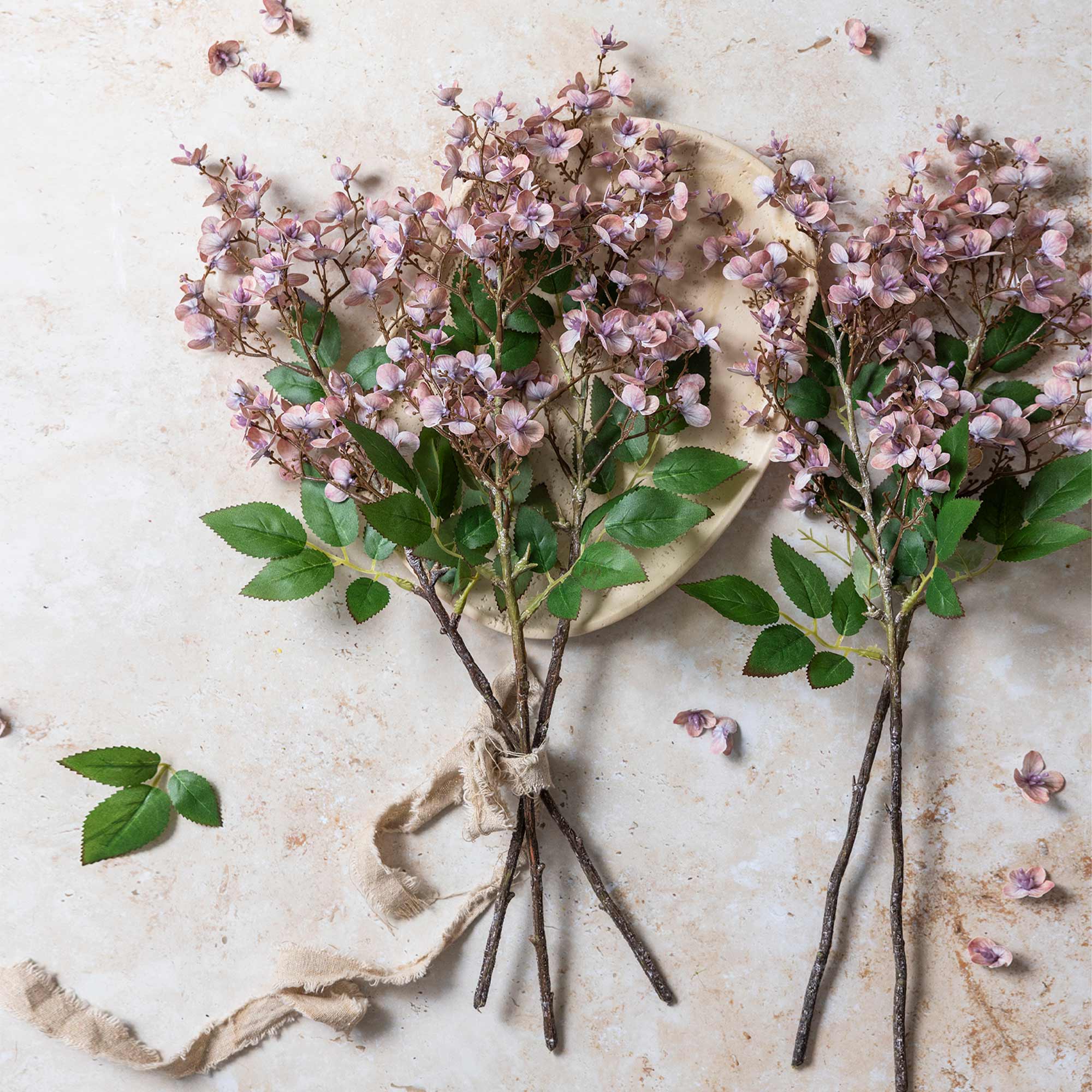 Japanese Cherry Blossom Stem