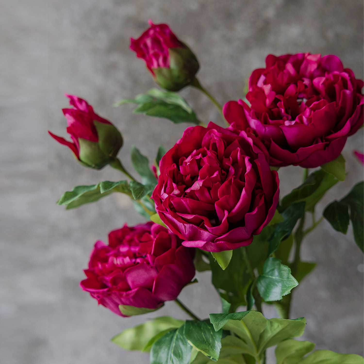 Real Touch Peony Stem