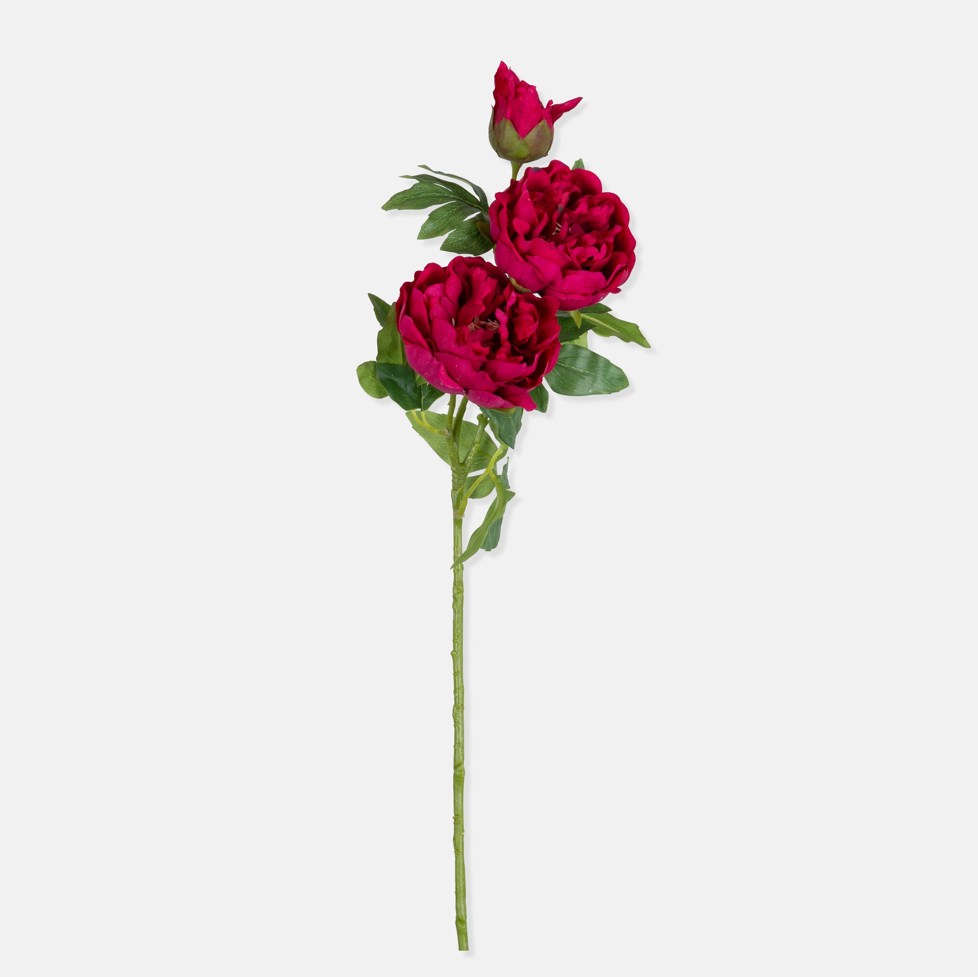 Real Touch Peony Stem