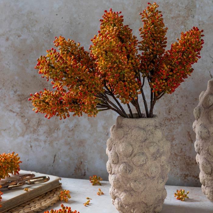Sunset Sorghum Stem