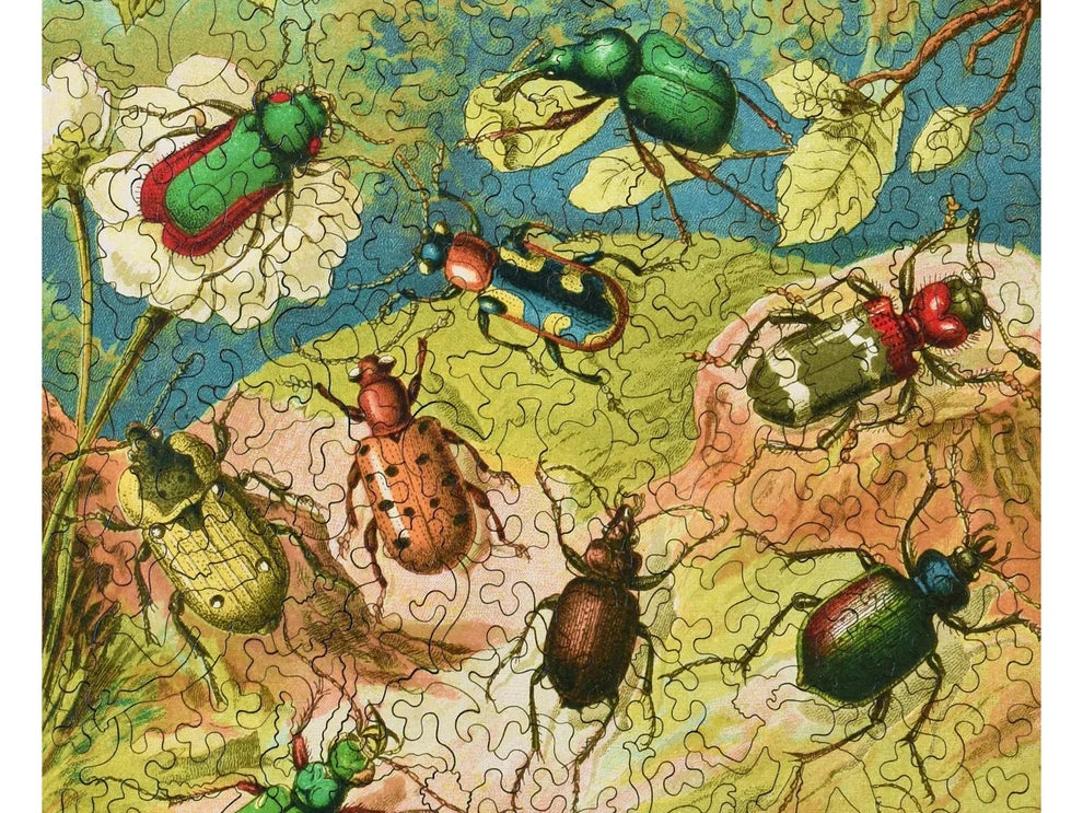 Beetles Wooden Puzzle