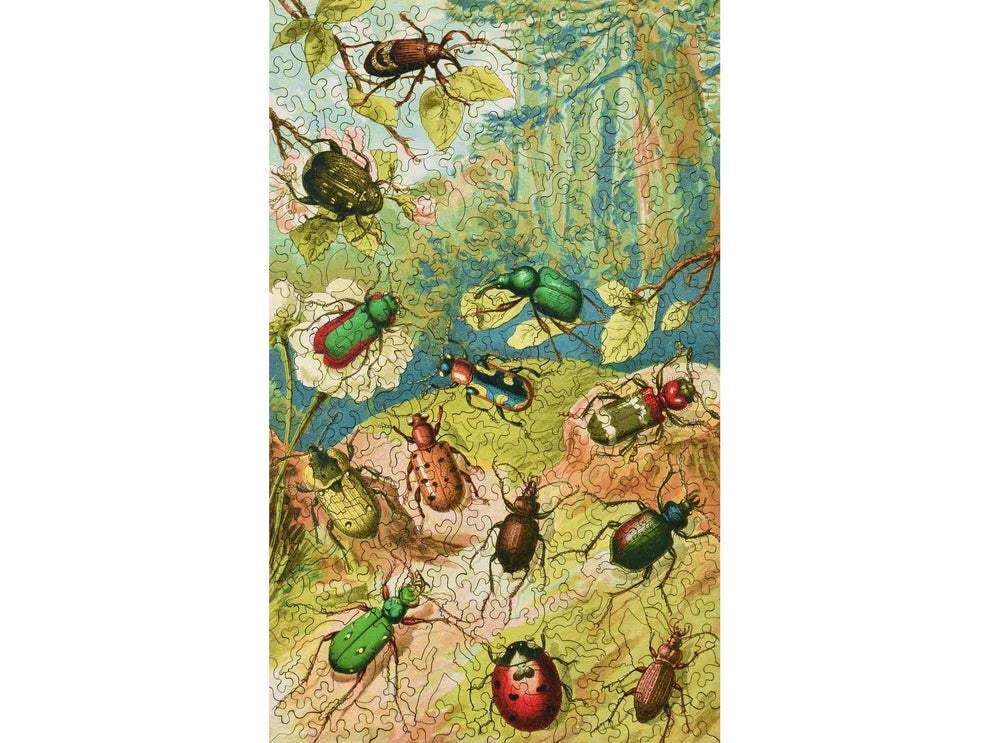 Beetles Wooden Puzzle