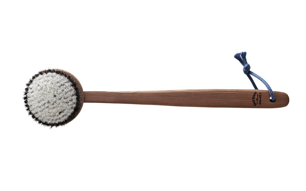 Long Handled Body Brush