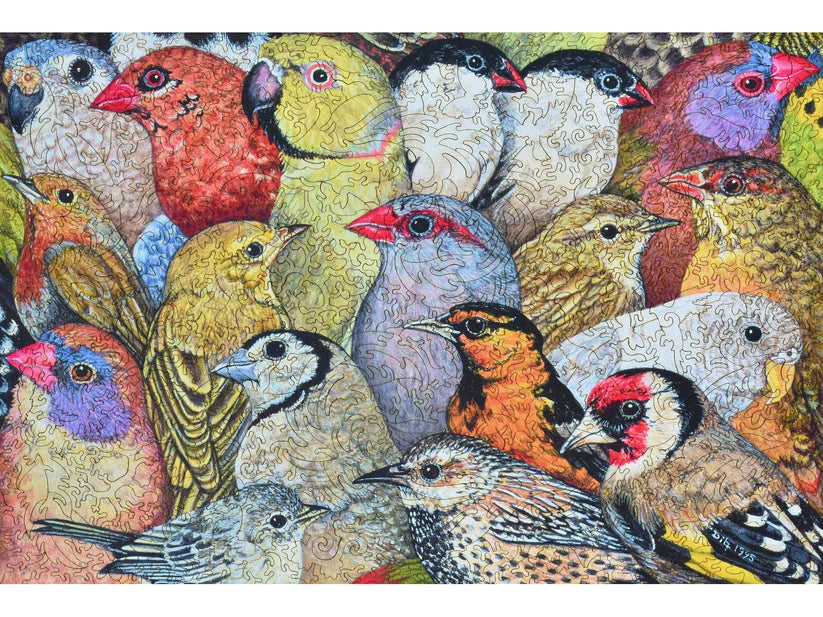 Patchwork Birds Wooden Puzzle