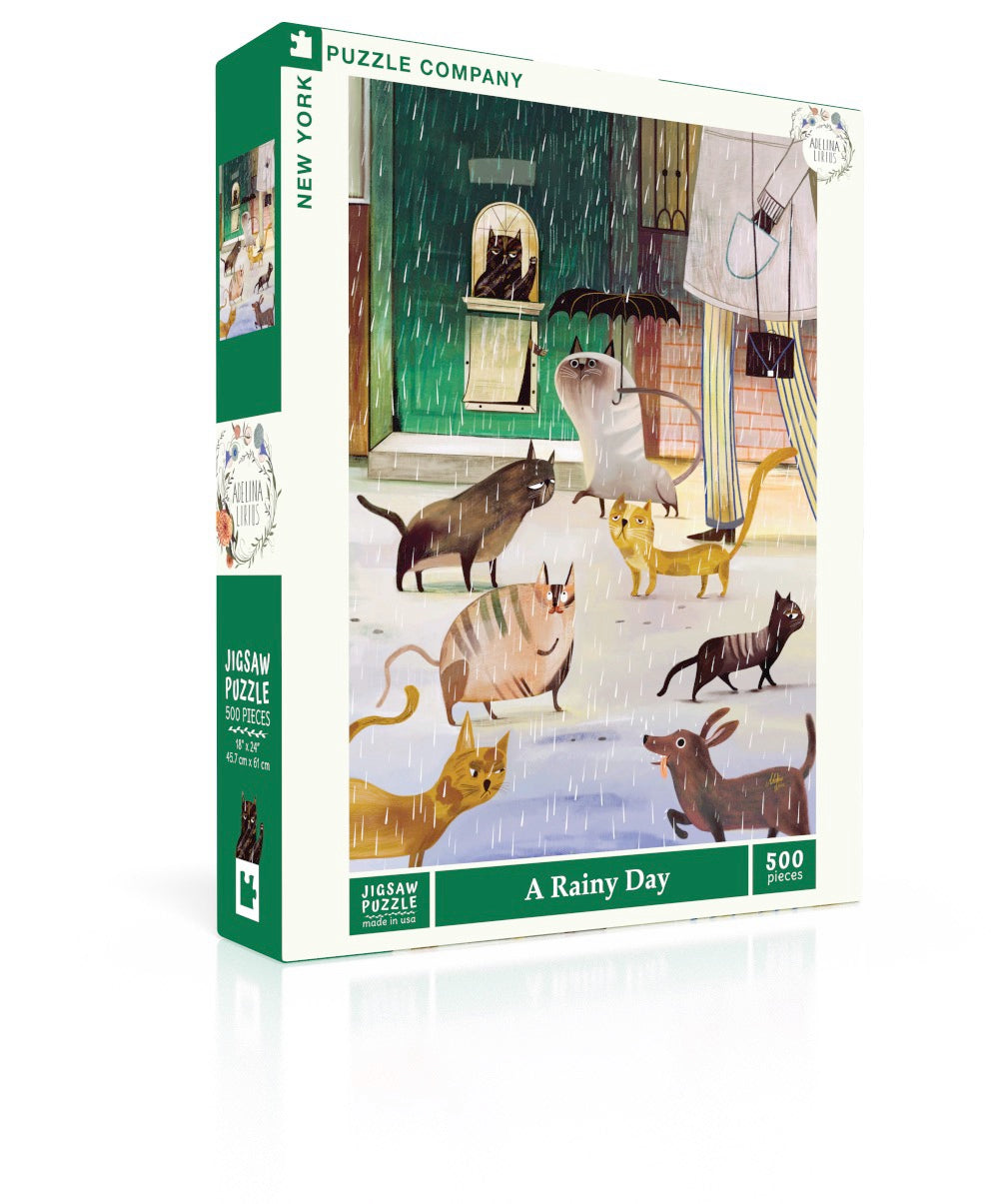 A Rainy Day Puzzle