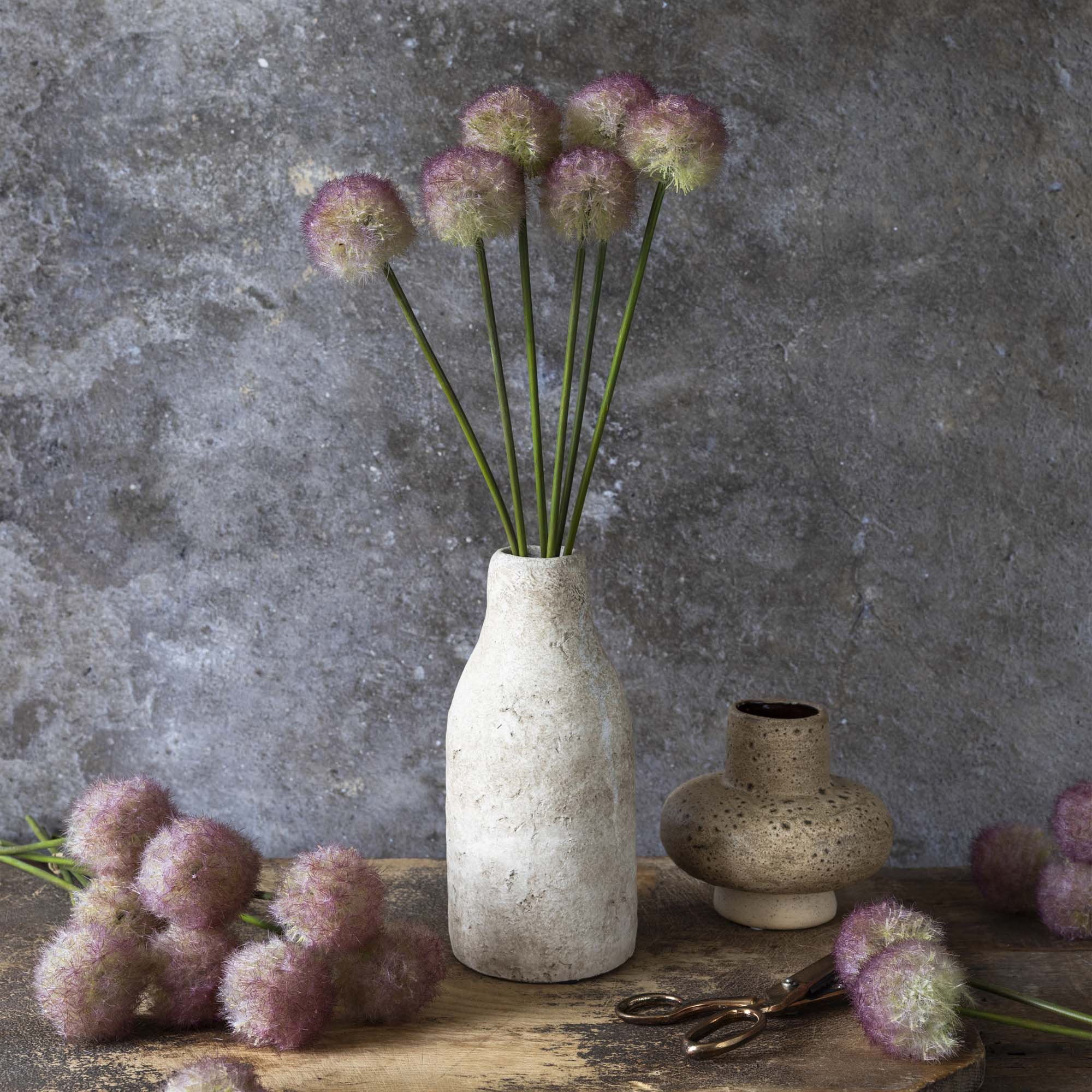 Sunset Allium Bunch