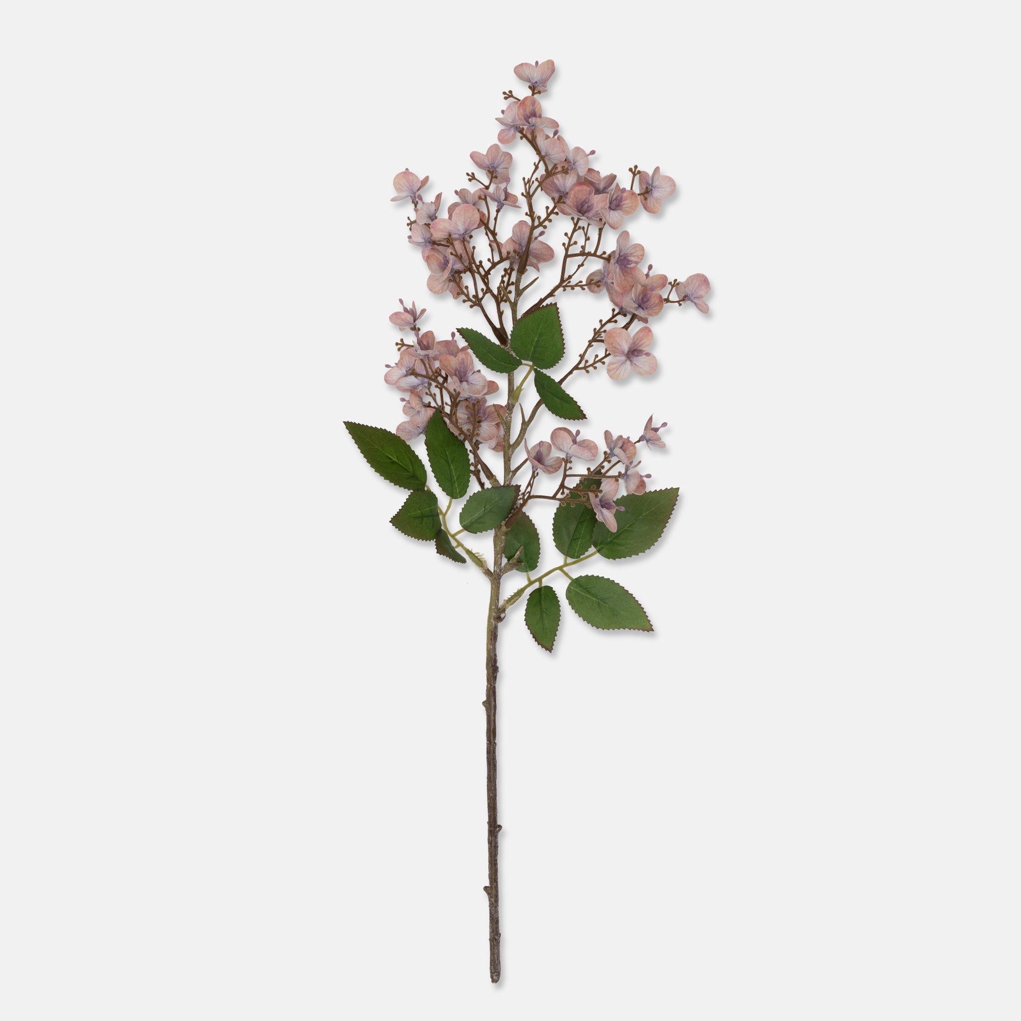 Japanese Cherry Blossom Stem
