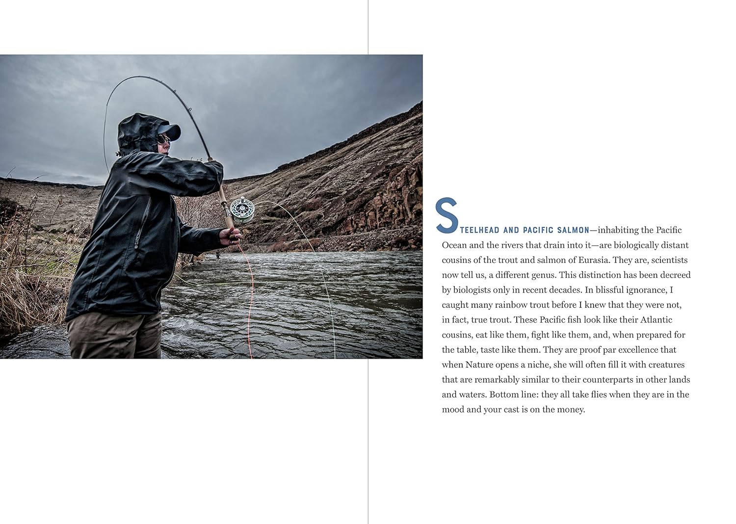 The Catch of a Lifetime: Moments in Flyfishing Glory