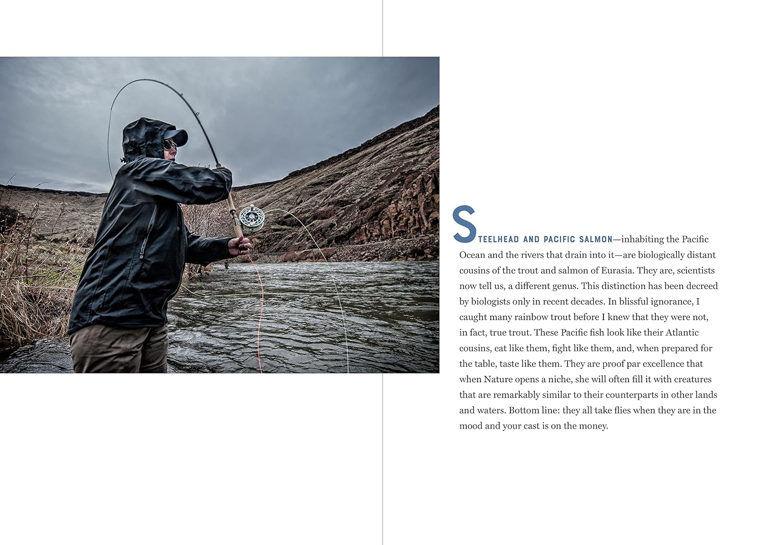 The Catch of a Lifetime: Moments in Flyfishing Glory – Red Orchard